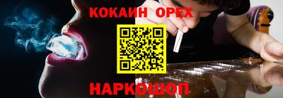 спиды Гатчина