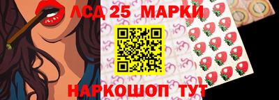 спиды Гатчина