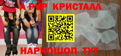 спиды Гатчина
