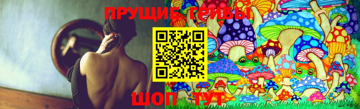 Галлюциногенные грибы мицелий  Вход с VPN  Белгород 