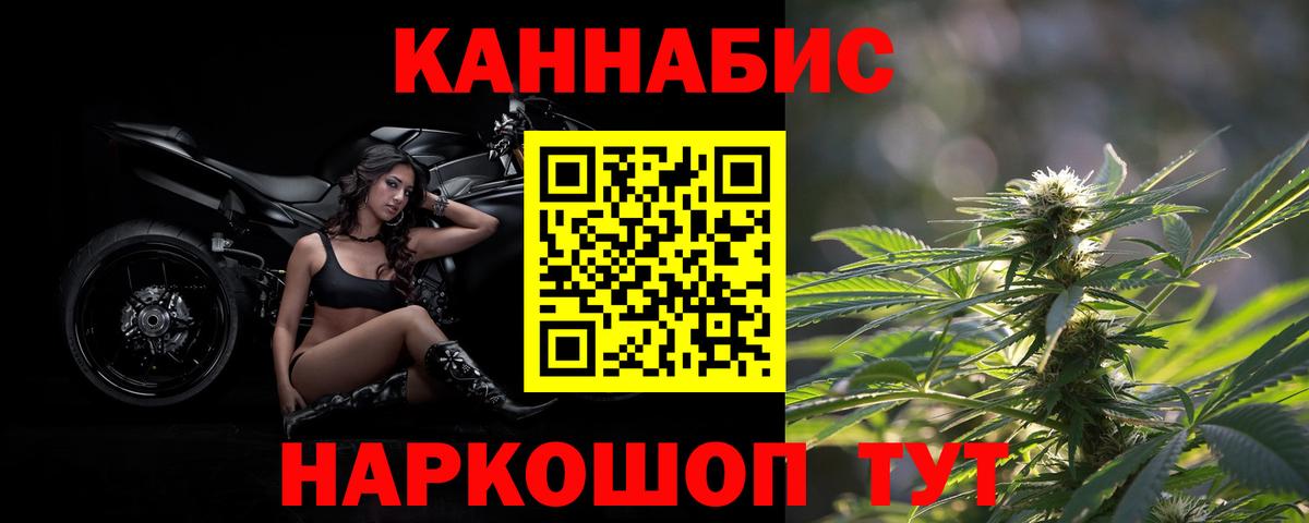 Бошки Шишки семена  Конопля OG Kush  Марихуана OG Kush  Вход с VPN  Белгород 